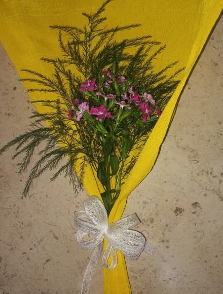 DIA INTERNACIONAL DA MULHER