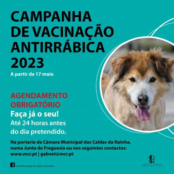 VACINA&Ccedil;&Atilde;O ANTIRR&Aacute;BICA