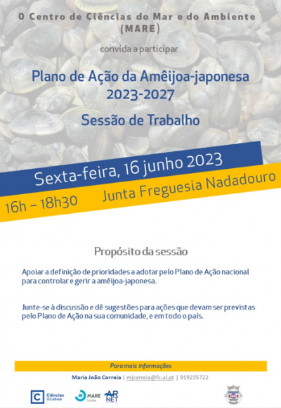 Reuni&atilde;o Plano A&ccedil;&atilde;o Am&ecirc;ijoa-japonesa