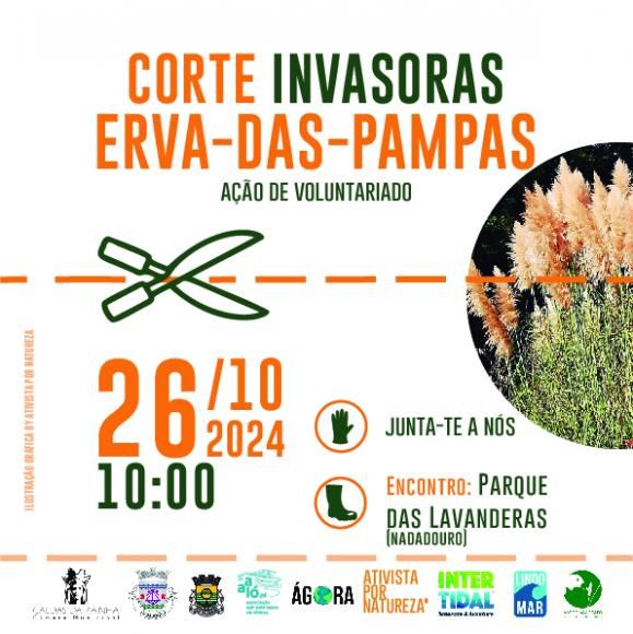 A&ccedil;&atilde;o de Voluntariado - corte das invasoras Erva-das-pampas
