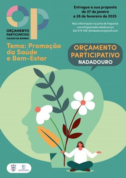 Or&ccedil;amento Participativo 2025