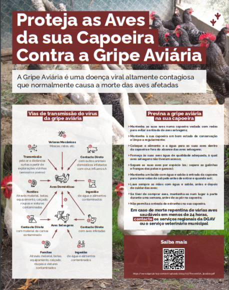 Gripe Avi&aacute;ria